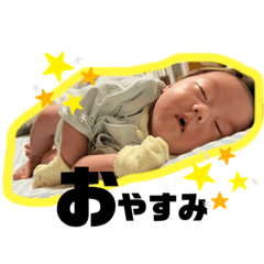 [LINEスタンプ] せんちゃんのスタンプ。