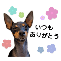 [LINEスタンプ] トイマンもぐ3