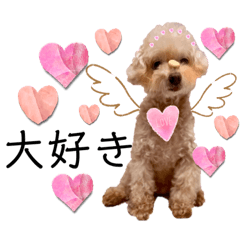 [LINEスタンプ] ちっちゃいプードルしゅくるちゃん10の画像（メイン）