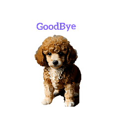 [LINEスタンプ] プードル poodle