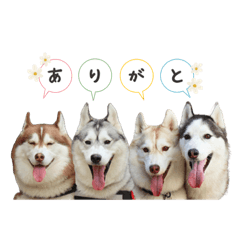 [LINEスタンプ] マブダチーズ♡