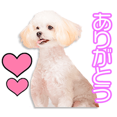 [LINEスタンプ] 荒尾家のちくわちゃん