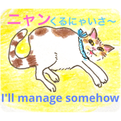 [LINEスタンプ] 茶白からのメッセージ2