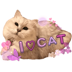 [LINEスタンプ] ミャウの日常～2