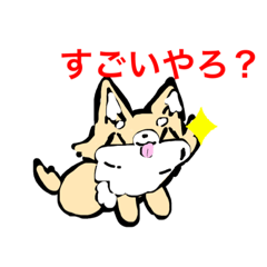 [LINEスタンプ] 犬犬犬犬だよー