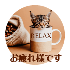 [LINEスタンプ] 毎日使いやすい☆いろんな猫達の日常トーク