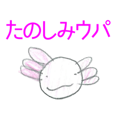 [LINEスタンプ] 手描きのウーパールーパースタンプ