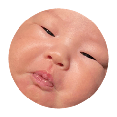 [LINEスタンプ] ネギハヤミコハクヌシ