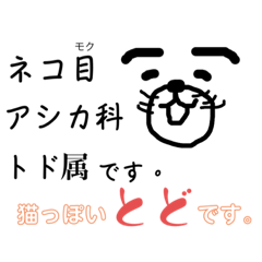 [LINEスタンプ] ねことど