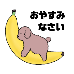 [LINEスタンプ] 中年太りのトイプードル2【敬語】