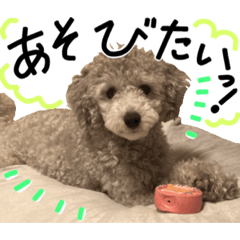 [LINEスタンプ] トビスタ2