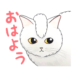 [LINEスタンプ] 白くてフワフワな「はる」猫