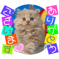 [LINEスタンプ] ねこまーちプリンセスミルクティー＆レッド