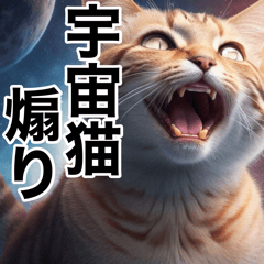 [LINEスタンプ] 煽ってくる宇宙猫【煽る・うざい・面白い】