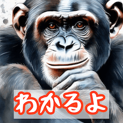 [LINEスタンプ] 動物で日常