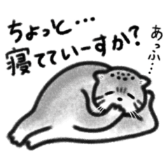 [LINEスタンプ] もふもふマヌルネコvol.2  ゆるゆる生活編