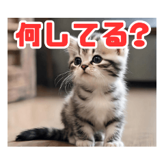 [LINEスタンプ] 子猫ワールド 1