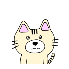 [LINEスタンプ] ねこのいろんなひょうじょう