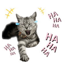[LINEスタンプ] ビビキュートスタンプ 3