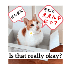 [LINEスタンプ] どこかで聞いた事ある言葉スタンプ1