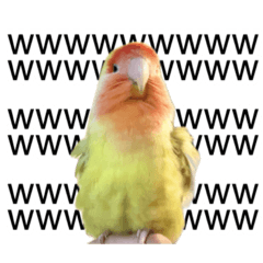 [LINEスタンプ] らぶばあああっど＋