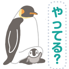 [LINEスタンプ] ペンギンたちの日常メッセージスタンプ