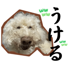 [LINEスタンプ] もこのおもしろスタンプ