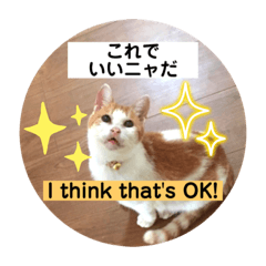 [LINEスタンプ] 茶白からのメッセージ3