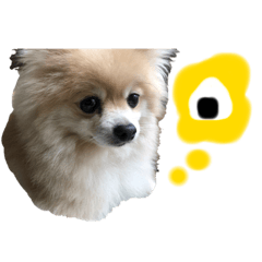 [LINEスタンプ] はちと呼ばれし犬