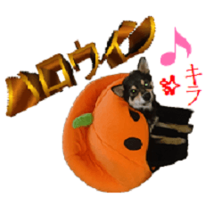 [LINEスタンプ] うちの豆太郎