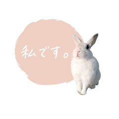 [LINEスタンプ] うさぎのLaniさん(日常で使える敬語)