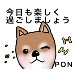 [LINEスタンプ] 【犬メイン】寒い季節からの挨拶スタンプ