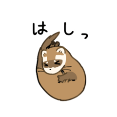 [LINEスタンプ] フェレットの日常使いスタンプ