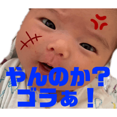 [LINEスタンプ] やんのか、ゴルァ！！の画像（メイン）