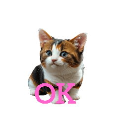 [LINEスタンプ] 三毛猫 calico cat