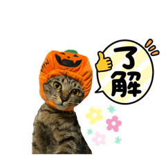 [LINEスタンプ] 粋の日常
