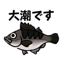 [LINEスタンプ] メバルだけ釣りスタンプ