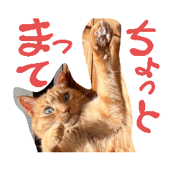 [LINEスタンプ] きなすた。2