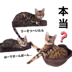 [LINEスタンプ] あるれおえれすたんぷ3