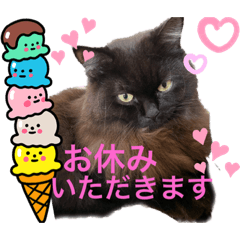 [LINEスタンプ] 黒猫 ルナ院長118にゃんめ