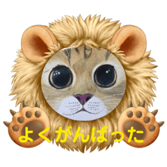 [LINEスタンプ] おおさかねこちゃん11