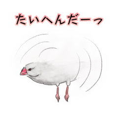 [LINEスタンプ] 文鳥さいこう