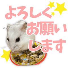 [LINEスタンプ] ハムスター TSUKIMI