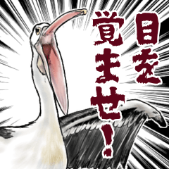 [LINEスタンプ] SNSでよく見る人を腐すペリカン