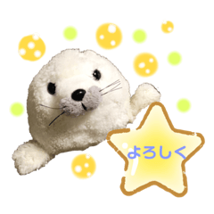 [LINEスタンプ] あざらしのおうちゃん