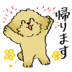 [LINEスタンプ] 毎日使えるマルプー（犬）★家族連絡用