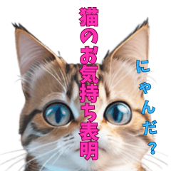 [LINEスタンプ] 猫のお気持ち表明