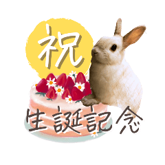 [LINEスタンプ] うさぎのLaniさん(日常で使える大人の敬語)