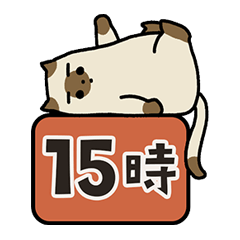 [LINEスタンプ] 時間を伝える猫スタンプ