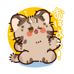 [LINEスタンプ] ねころん部①～ツシマヤマネコ～